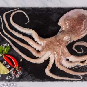 Octopus 1Kg+ Approx