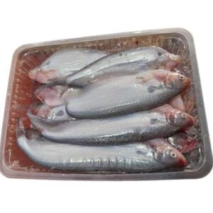 Pabda Fish
